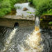 LEC hosts British Water conference reviewing national standards on water management