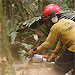 Devastating human impact on the Amazon rainforest revealed