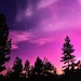 Catch the Northern Lights with your mobile