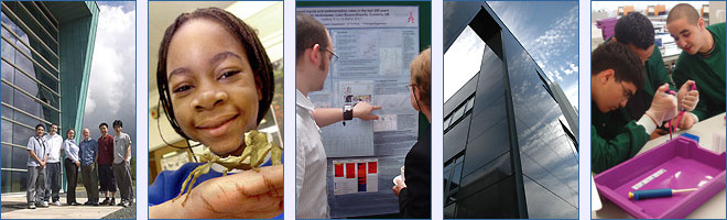 A montage of Science and Technology images