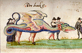 A splendid dragon