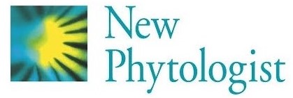 New Phytologist Foundation