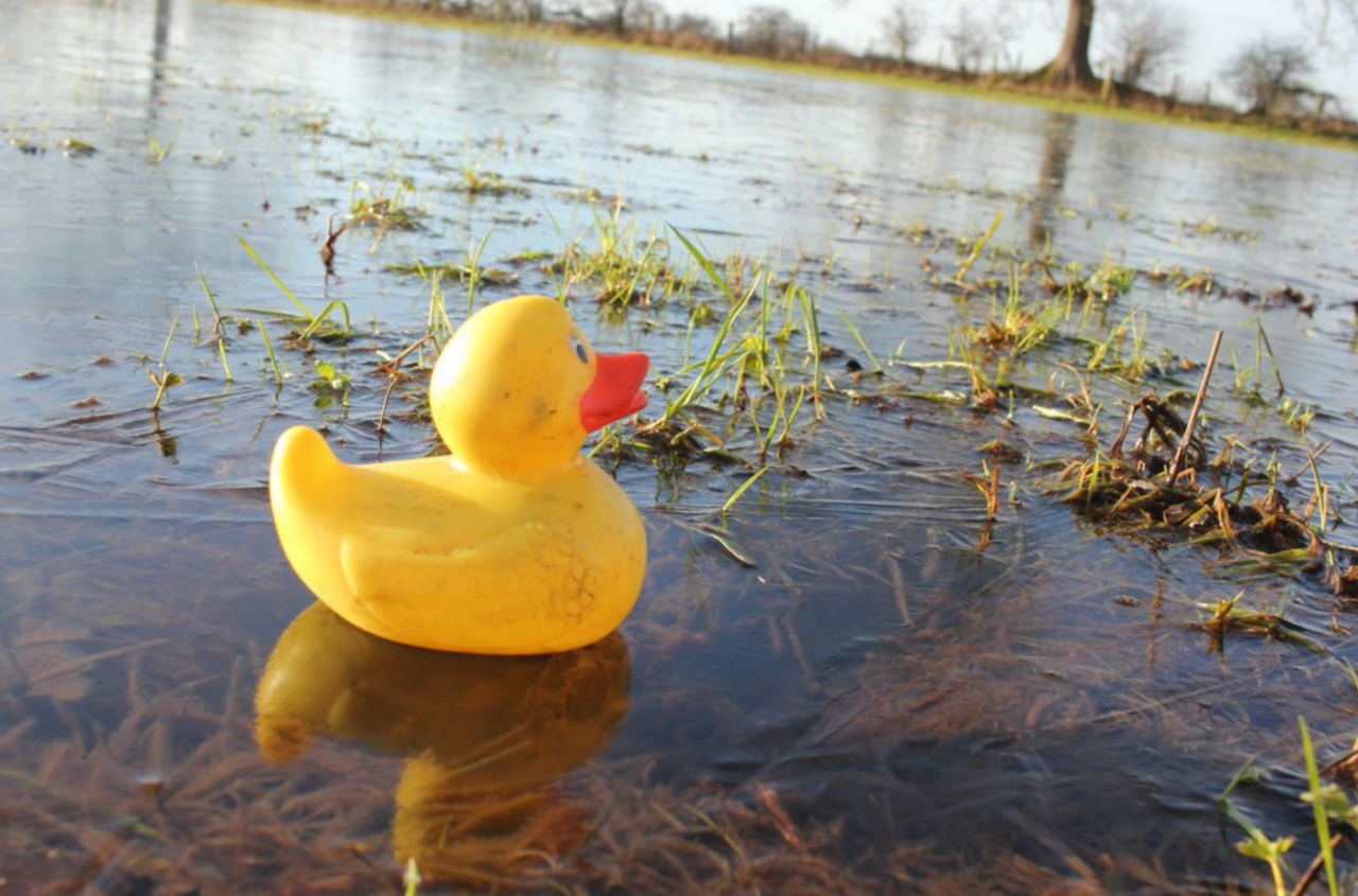 The (im)mobilities of Storm Desmond