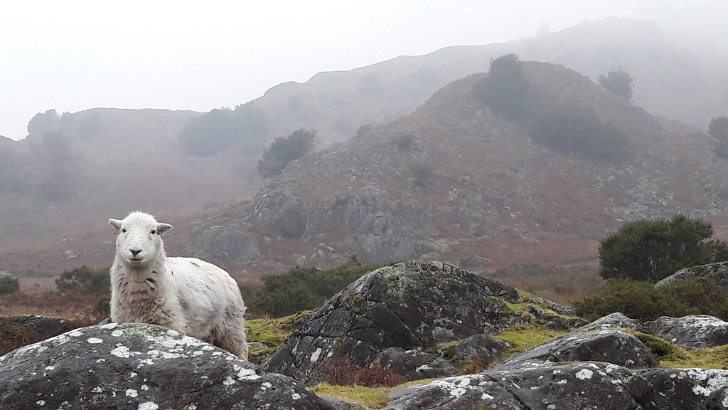Cemore walk: Shaping and being shaped by the Duddon Valley