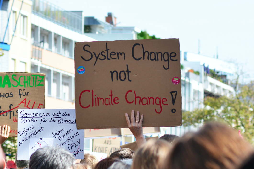 image showing a climate emergency protest with signs about the dangers of climate change, most prominent sign reads "system change not climate change!"