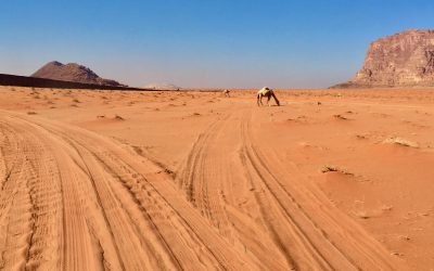 Poetry and Public Diplomacy: The Case of Western Sahara. CeMoRe Winter Webinar 2023