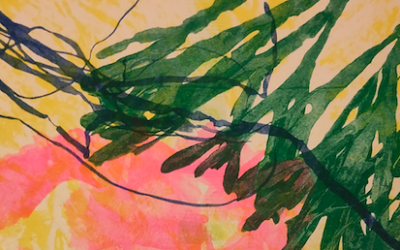 Seaweed Mobilities Day