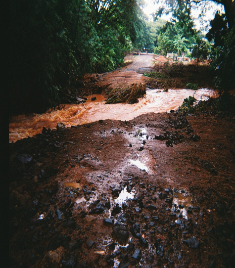 flooding river in a red soil landscape with trees.