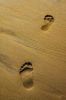 footsteps