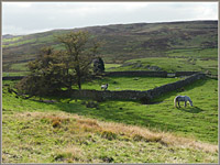 Firbank Fell: site of chapel and graveyard from above