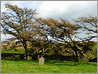 Firbank Fell: site of chapel and graveyard