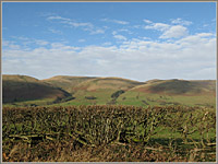 Garsdale looking across to Brant Fell