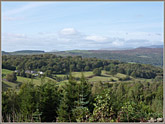 Towards Causeway, 