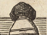 Mabel Camm