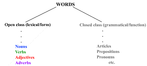 distinction between open class (lexical) and closed class words