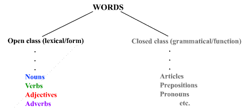 Word Classes, Open and Closed Class Words, Basic English Grammar, English with Wasanti