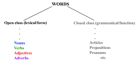 Open Class Words - Definition and Examples