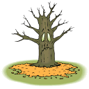 Autumn tree