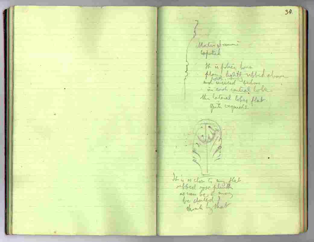 Bit Book : electronic edition page 34