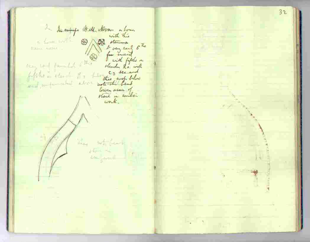 Gothic Book : electronic edition page 32