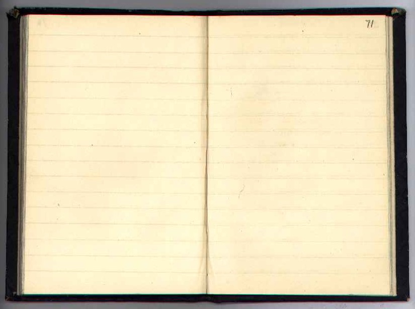 Notebook N : electronic edition page 71
