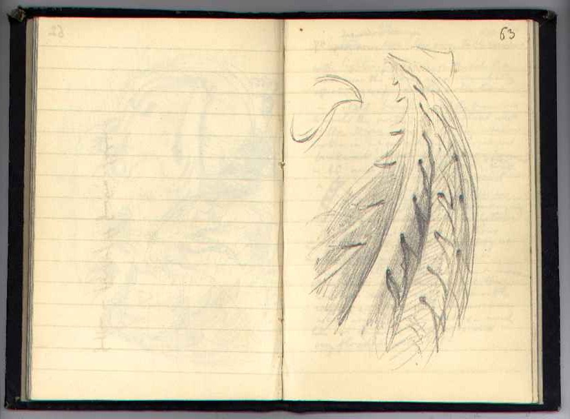 Notebook N : electronic edition page 63