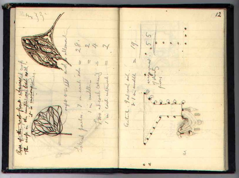 Notebook N : electronic edition page 12
