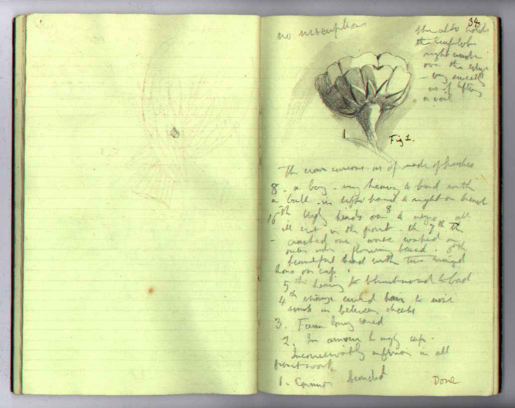 Palace Book : electronic edition page 34
