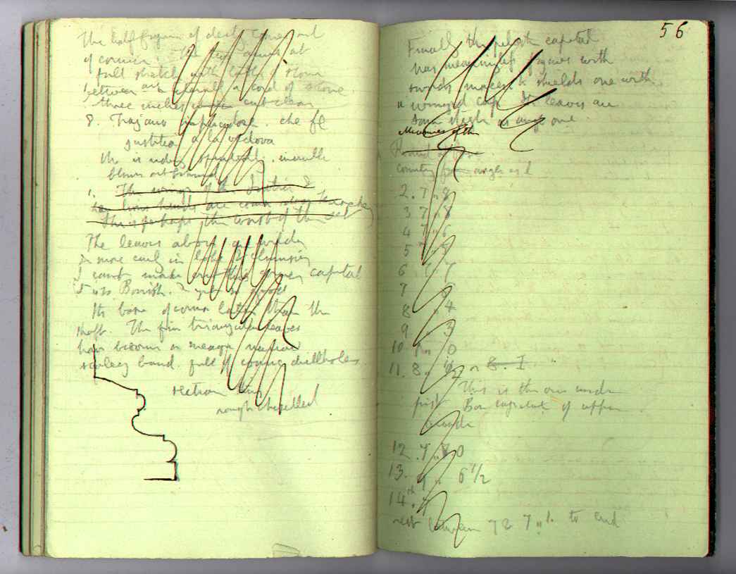 Palace Book : electronic edition page 56