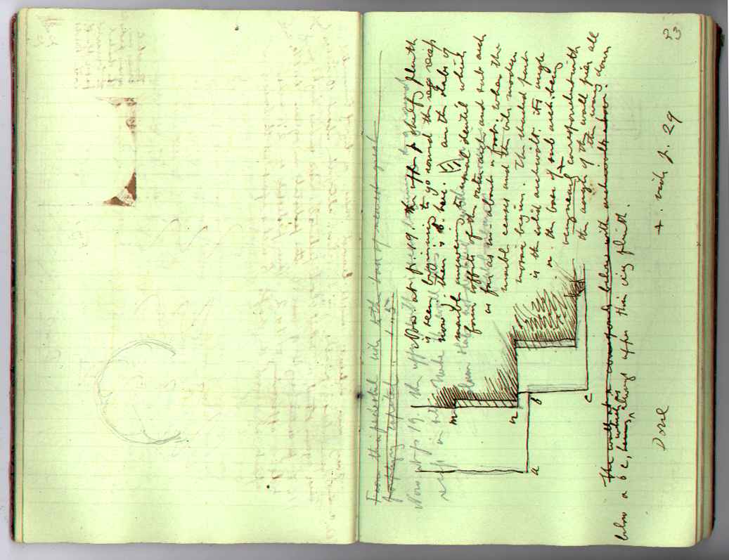 St M[ark's] Book : electronic edition page 23