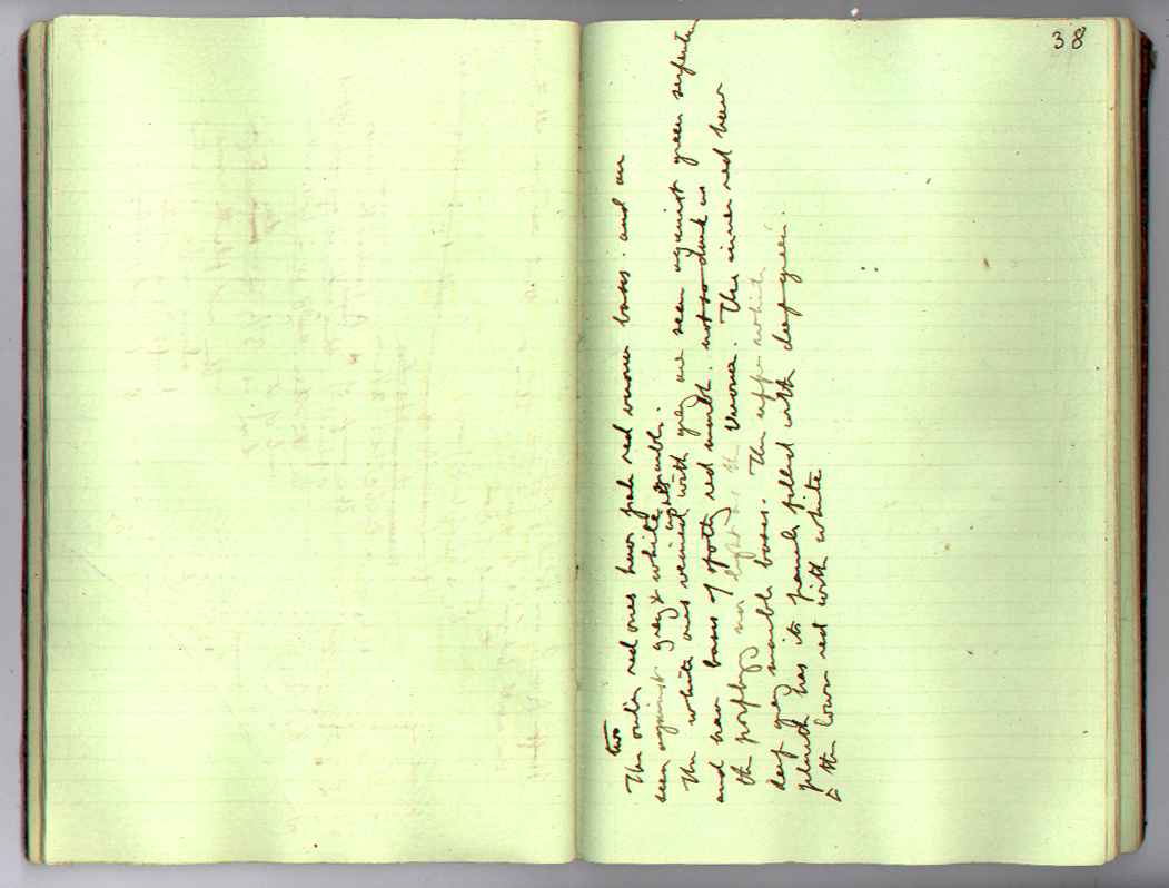 St M[ark's] Book : electronic edition page 38