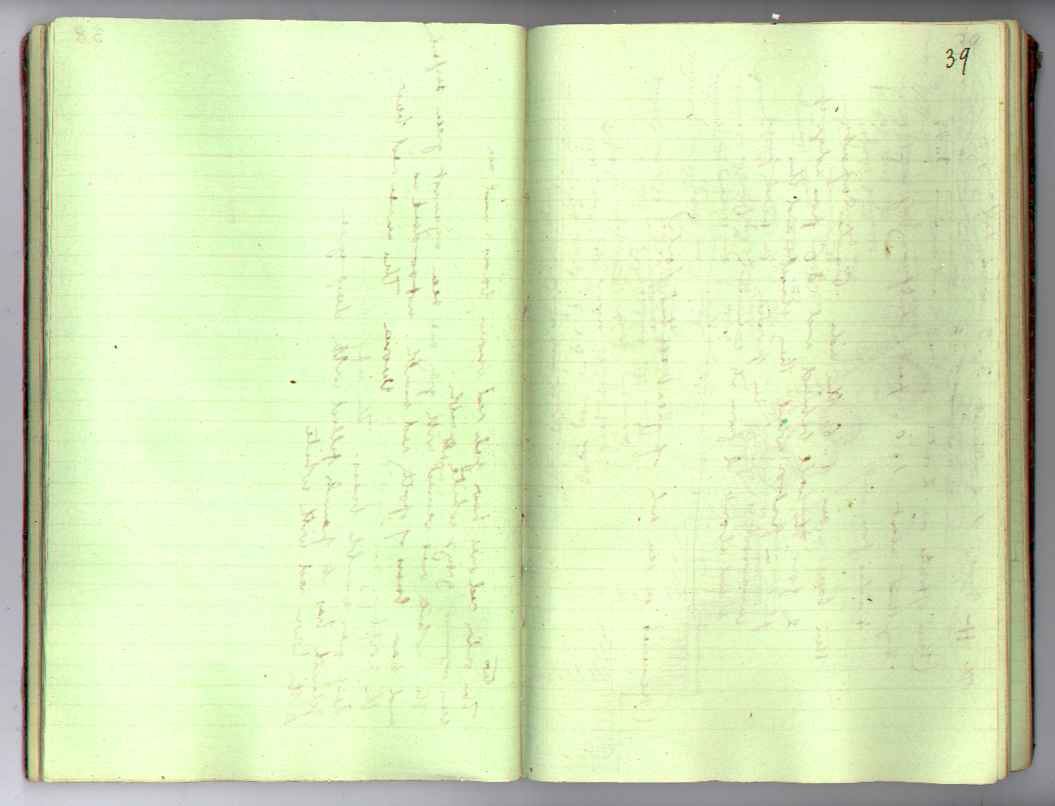 St M[ark's] Book : electronic edition page 39