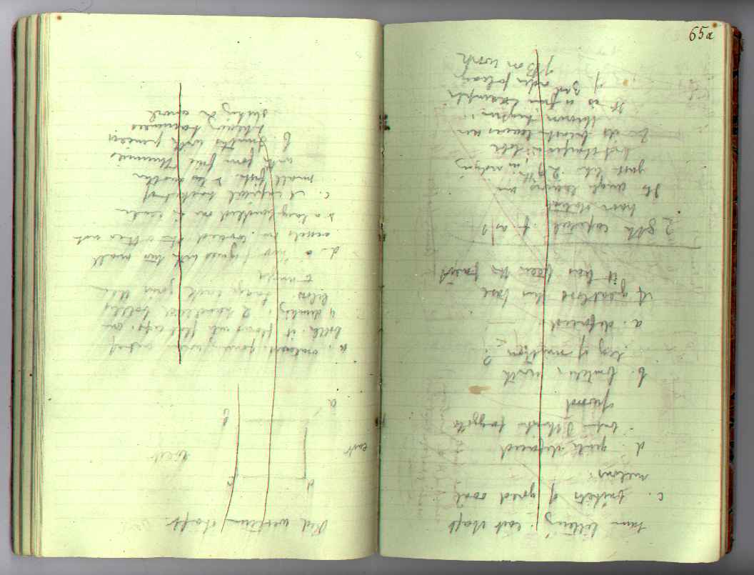 St M[ark's] Book : electronic edition page 65a