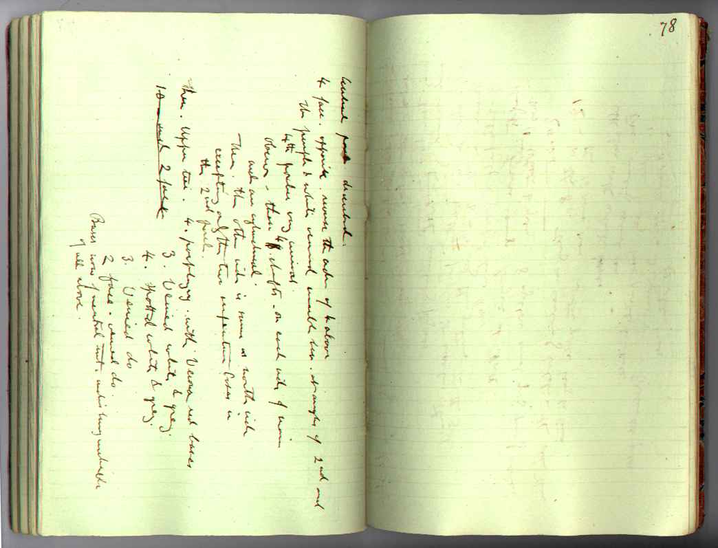 St M[ark's] Book : electronic edition page 78