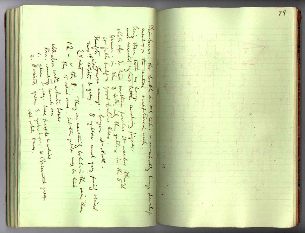 St M[ark's] Book : electronic edition page 79