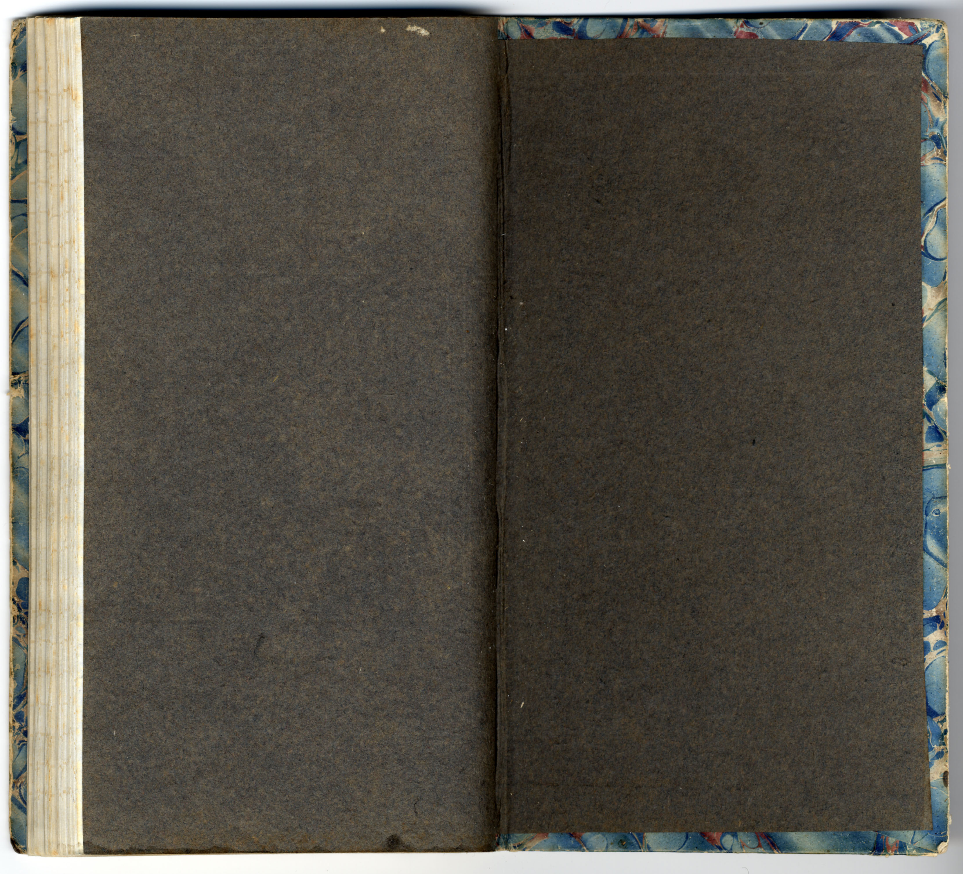 Verona Book : electronic edition page v