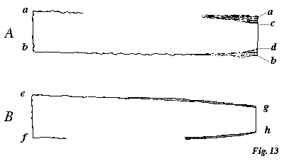 0539V9.BMP