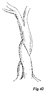0601V9.BMP