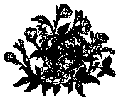 1420V24.BMP