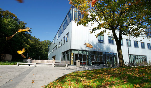 lica building