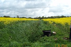 Field A flume