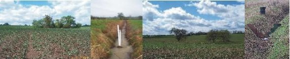 images of the SEAL field site