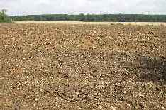 field C