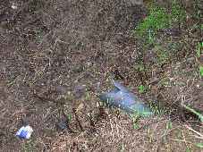 control strip drain