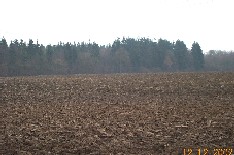 field B