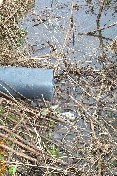 samping point for drains from Field B