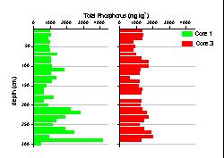 Total phosphorus concentration variation with depth