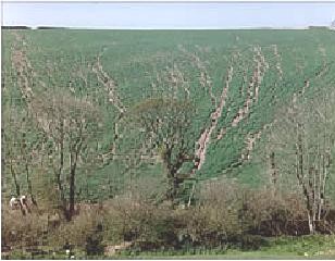 evidence of hydrological connectivity