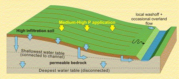 Groundwater dominated system with low-medium risk of phosphorus reaching receiving channels