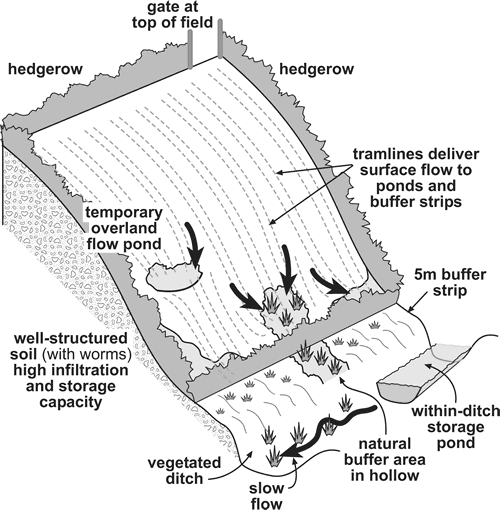 Low flow-connectivity, low risk due to fertiliser application